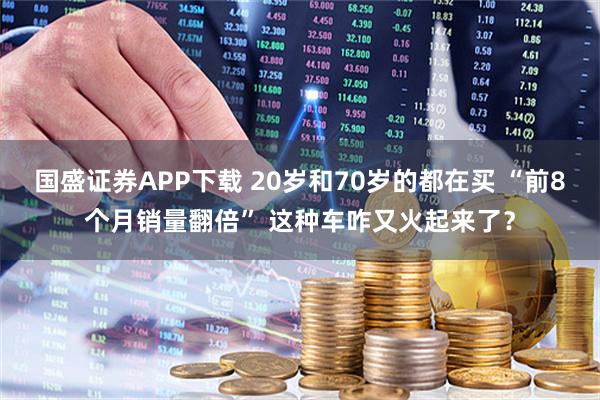 国盛证券APP下载 20岁和70岁的都在买 “前8个月销量翻倍” 这种车咋又火起来了？