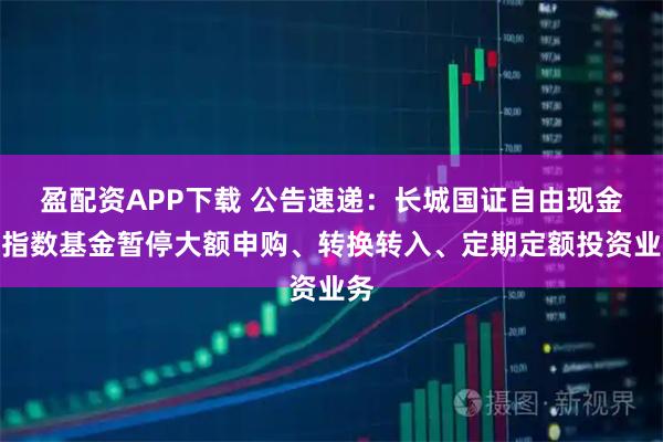 盈配资APP下载 公告速递：长城国证自由现金流指数基金暂停大额申购、转换转入、定期定额投资业务