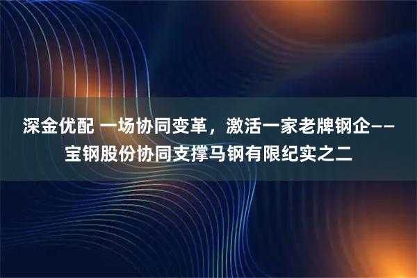 深金优配 一场协同变革，激活一家老牌钢企——宝钢股份协同支撑马钢有限纪实之二
