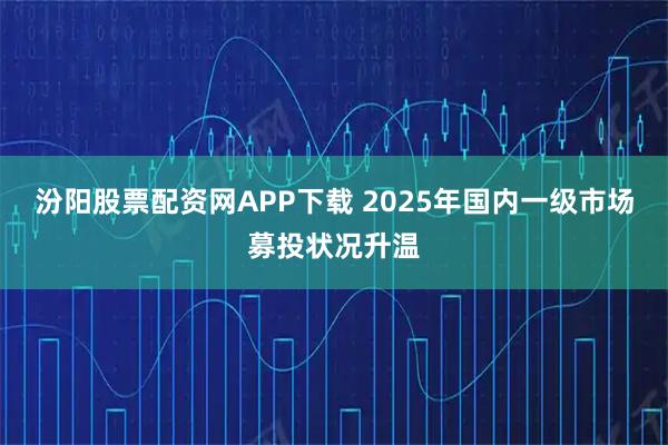 汾阳股票配资网APP下载 2025年国内一级市场募投状况升温