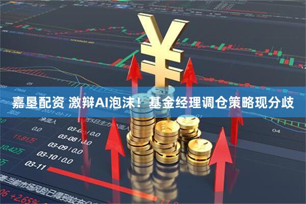 嘉垦配资 激辩AI泡沫！基金经理调仓策略现分歧